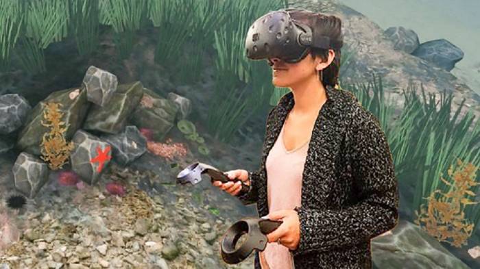 Can VR Truly Replace Traditional Field Trips